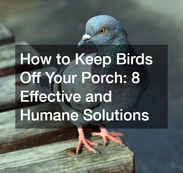 How to Keep Birds Off Your Porch: 8 Effective and Humane Solutions