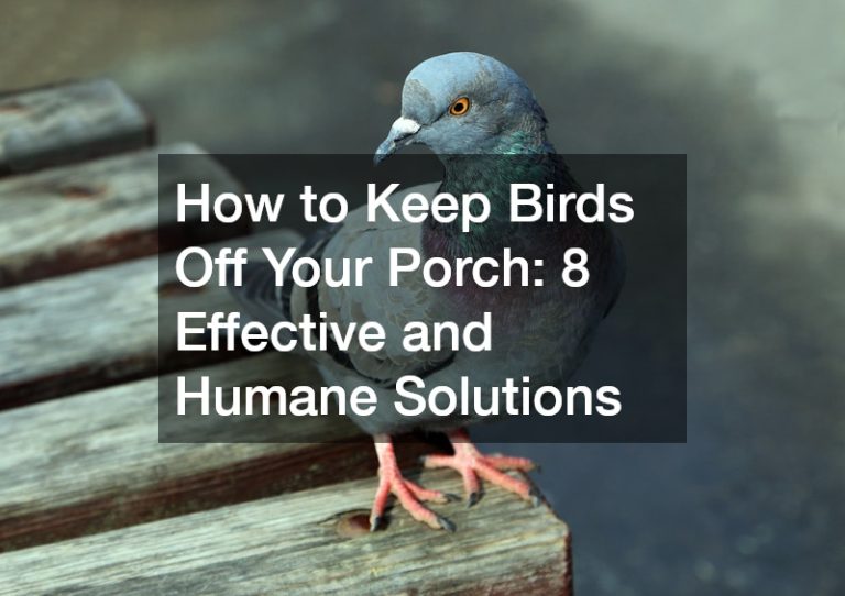 How to Keep Birds Off Your Porch: 8 Effective and Humane Solutions